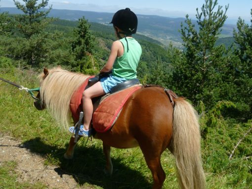 On horseback